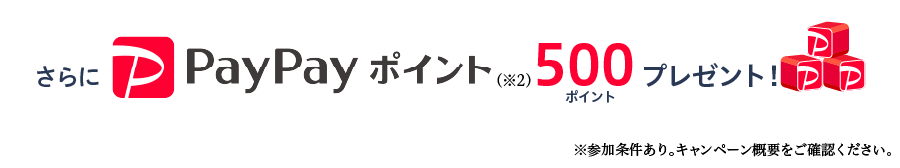 LINEポイントキャンペーンでさらにLINEポイント ⓟ 500プレゼント！